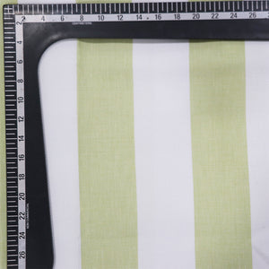 Pista Green And Blue Stripes Pattern Yarn Dyed Cotton Fabric