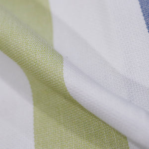 Pista Green And Blue Stripes Pattern Yarn Dyed Cotton Fabric