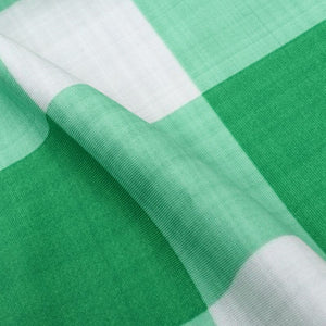 Mint Green And White Checks Pattern Digital Print Rayon Fabric